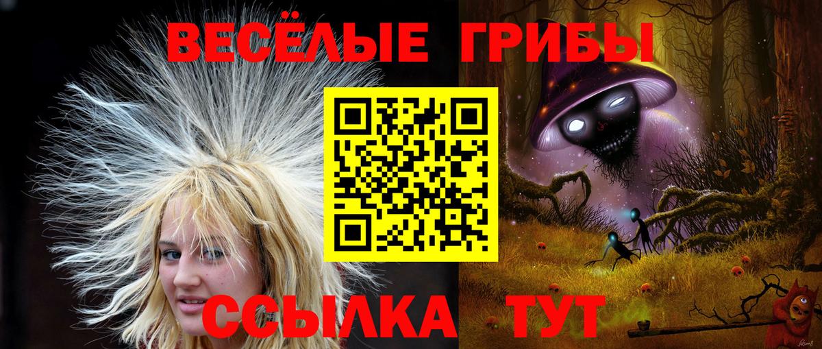 Псилоцибиновые грибы GOLDEN TEACHER  Вход с VPN  Псилоцибиновые грибы Magic Shrooms  Каменка 